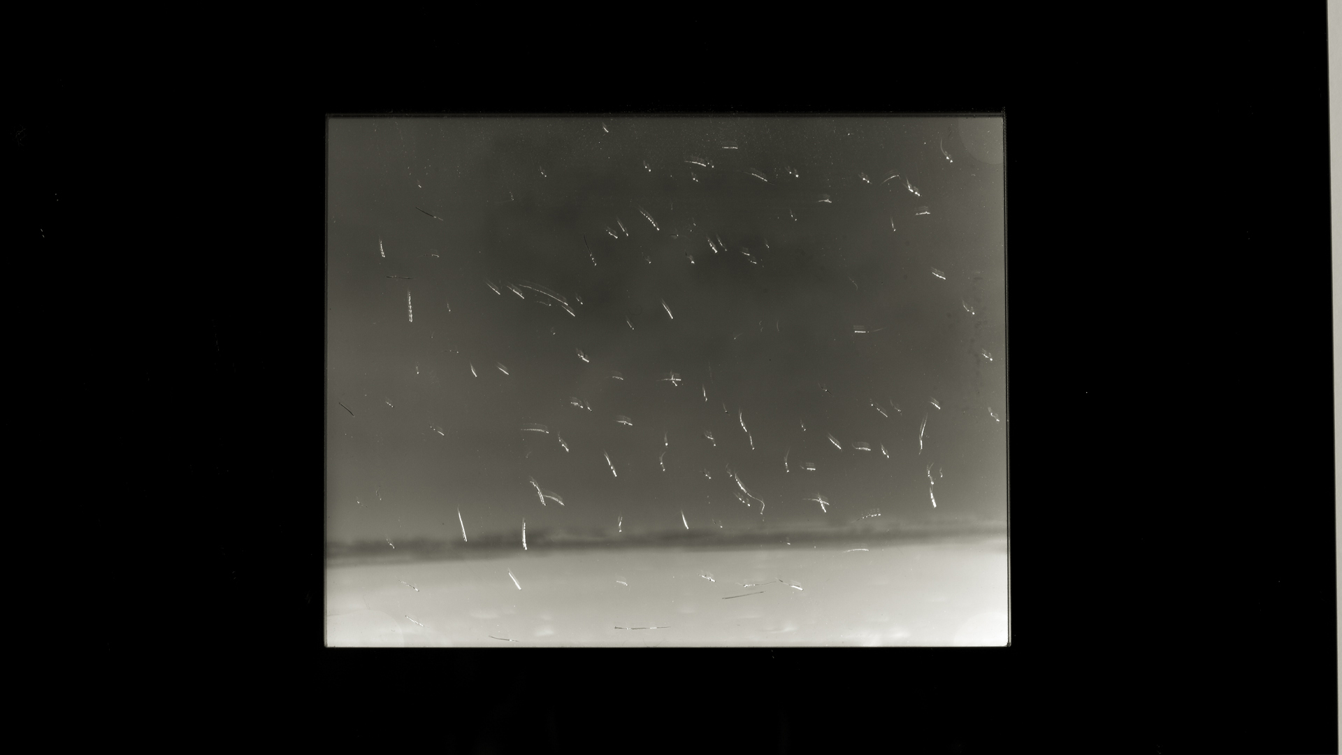 negative 13.jpg