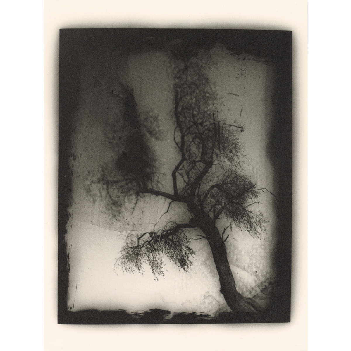 tree book 11.jpg