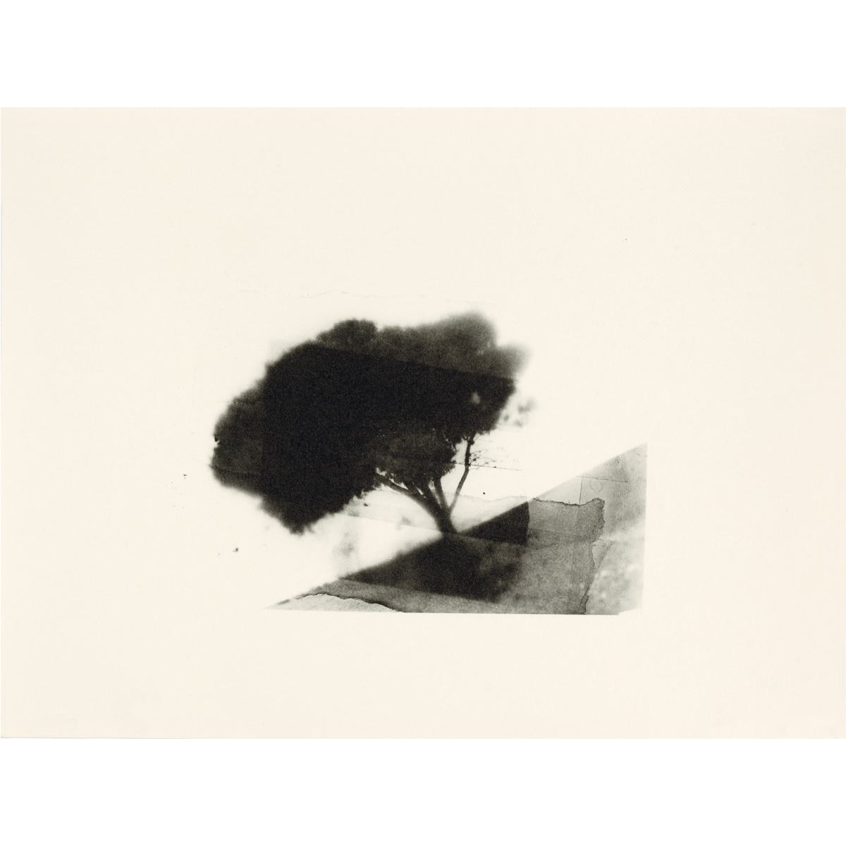 tree book 4.jpg