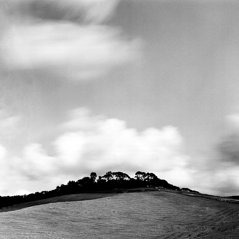 1 - 8 B - MuculufaB f 32 - 30 sec.jpg