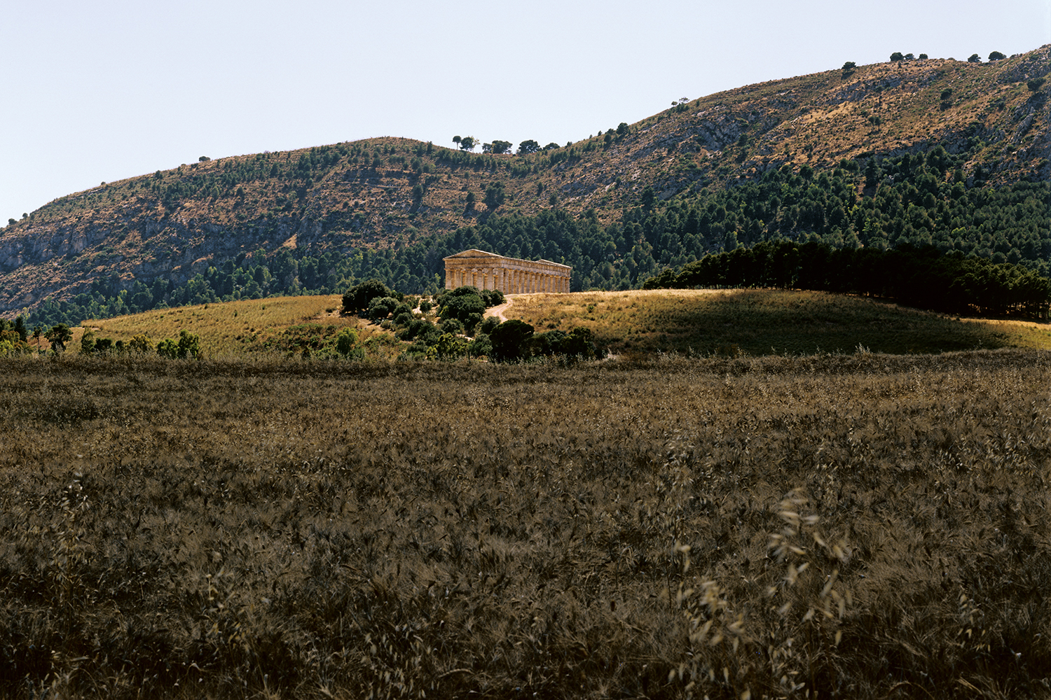 100-000019.jpg