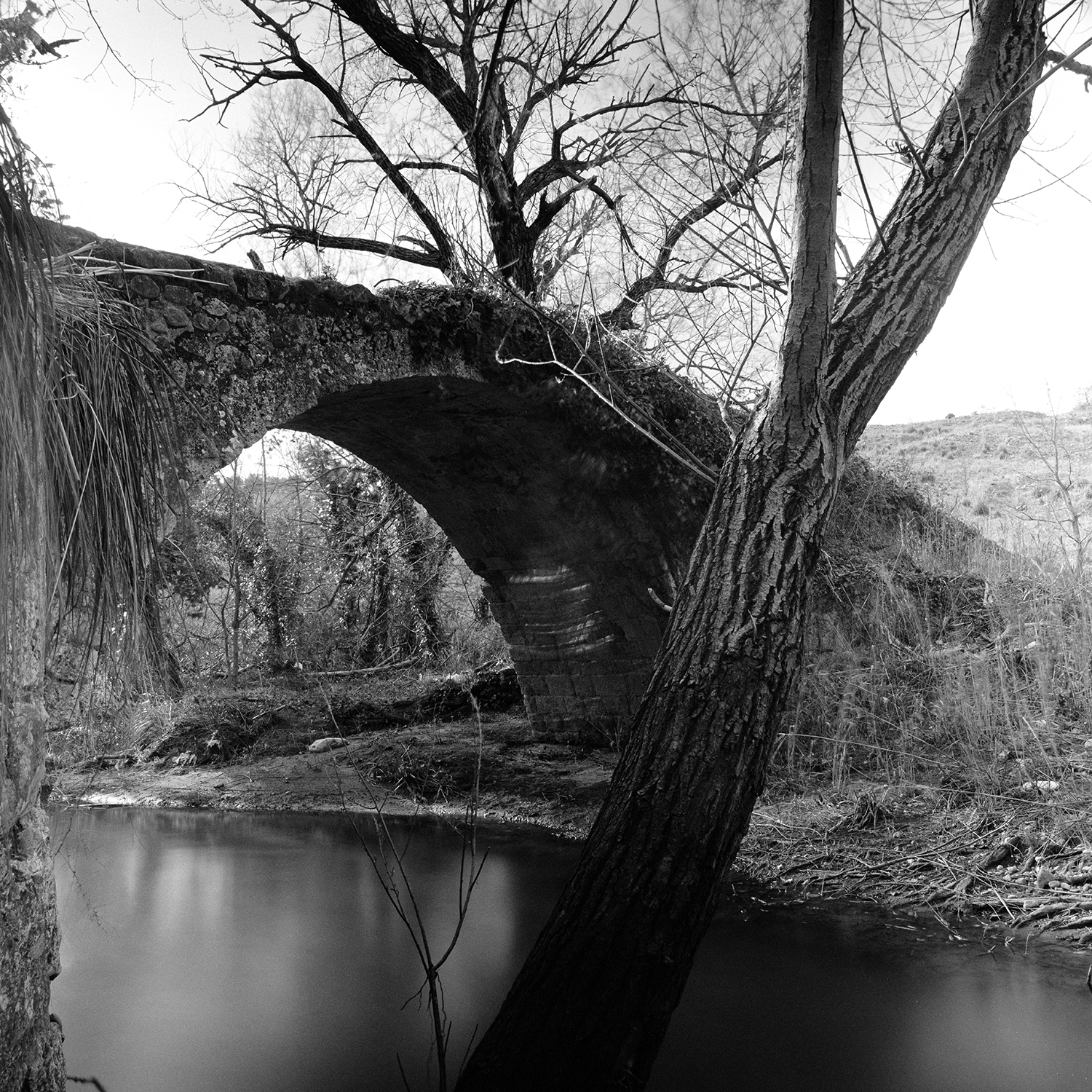 16 - Blufi - Ponte Romano.jpg