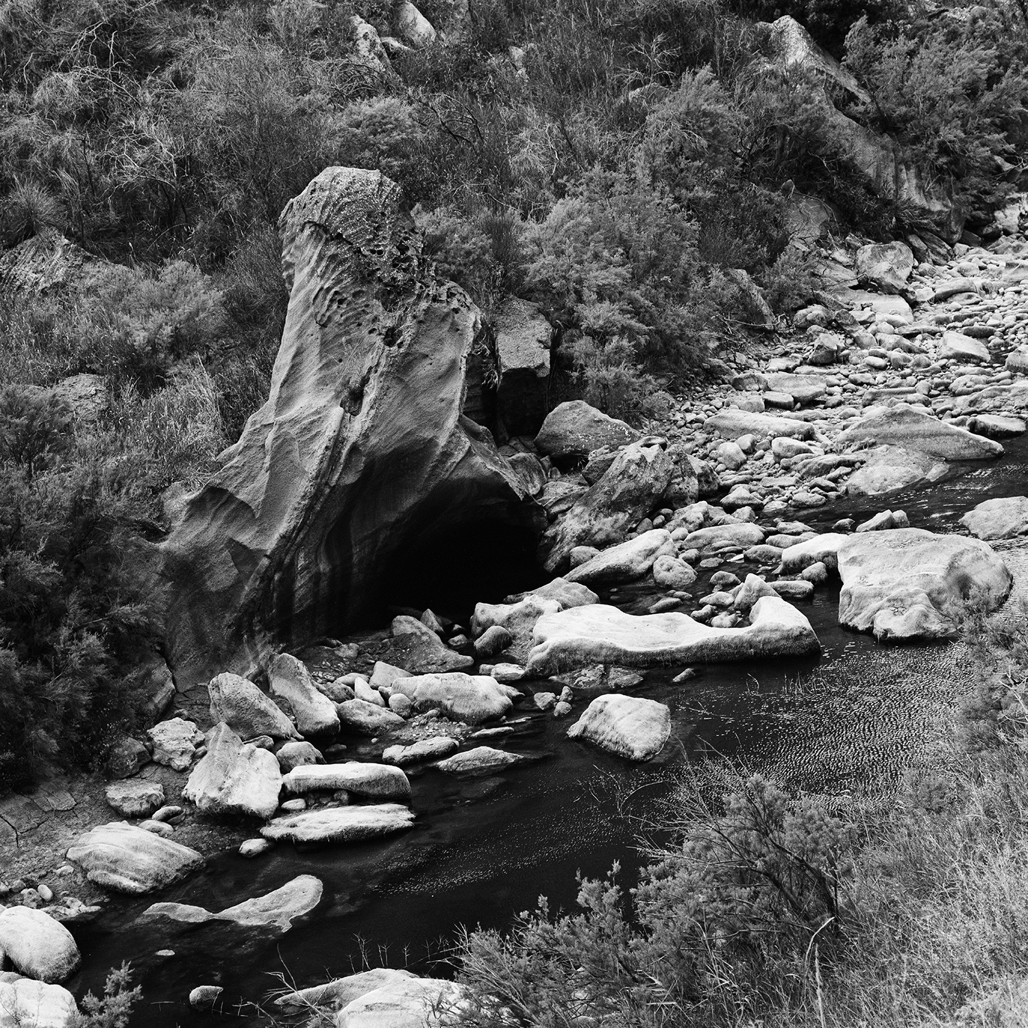 200 - La Valle del Salso - Lannari.jpg