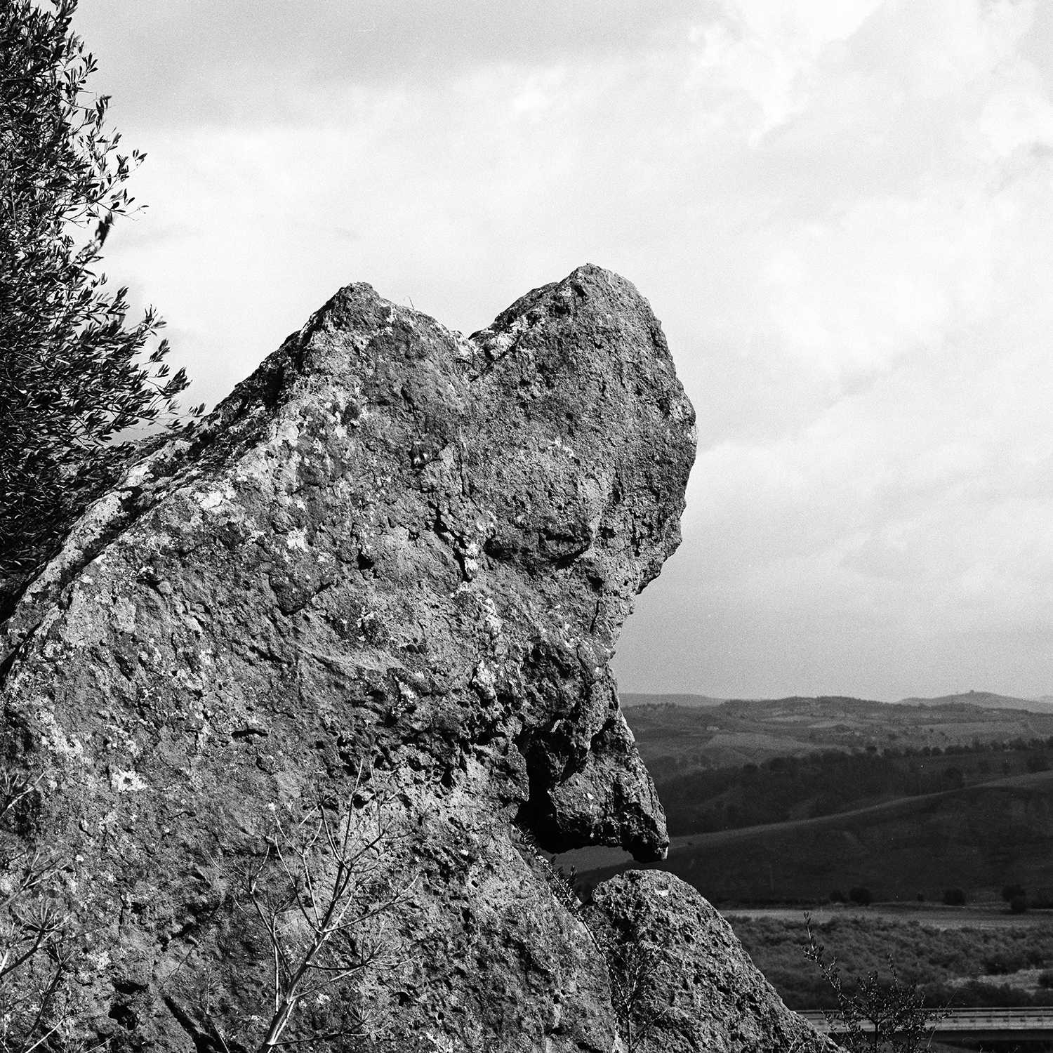 208 - La Valle del Salso - Lannari.jpg