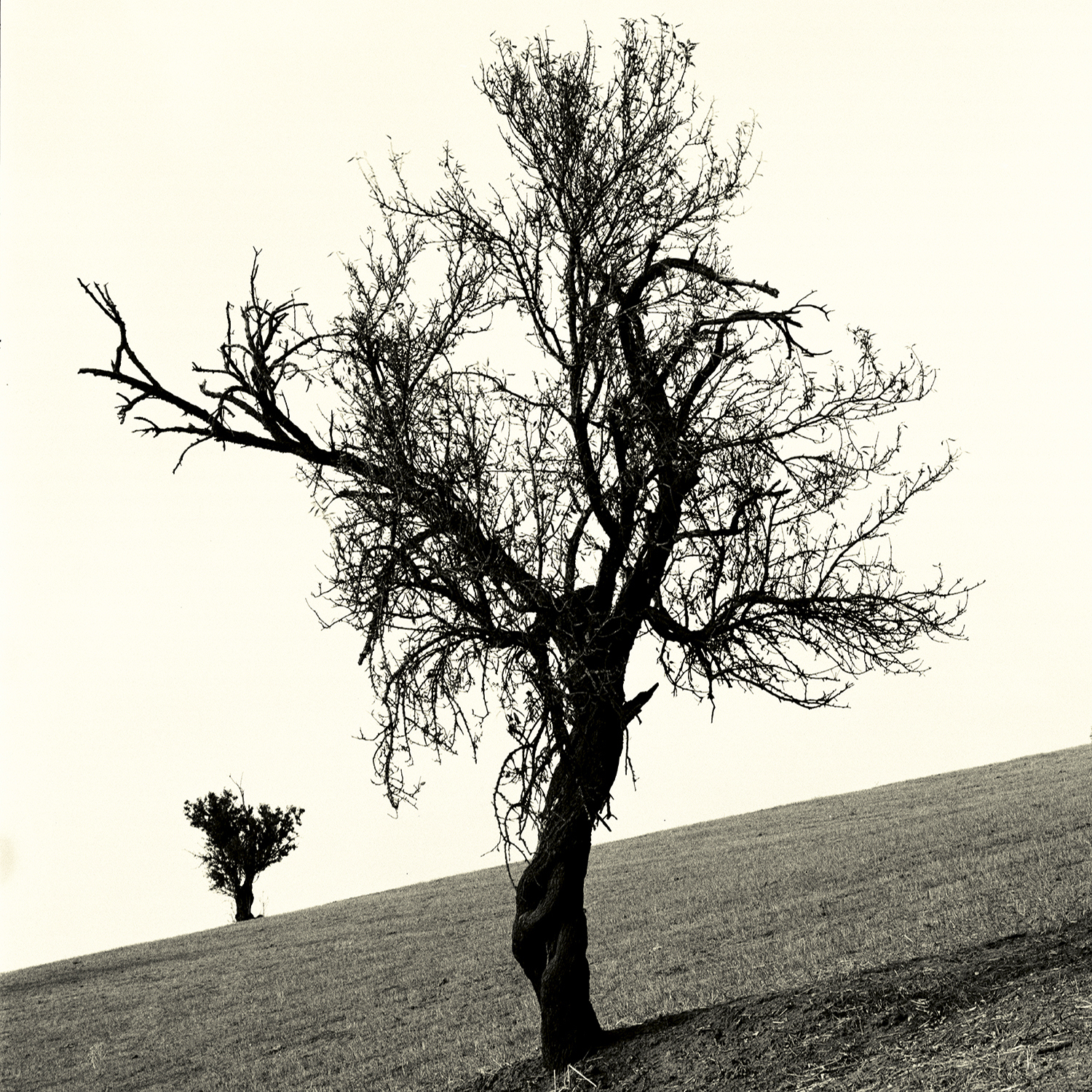 223 - La Valle del Salso - Garlatti.jpg