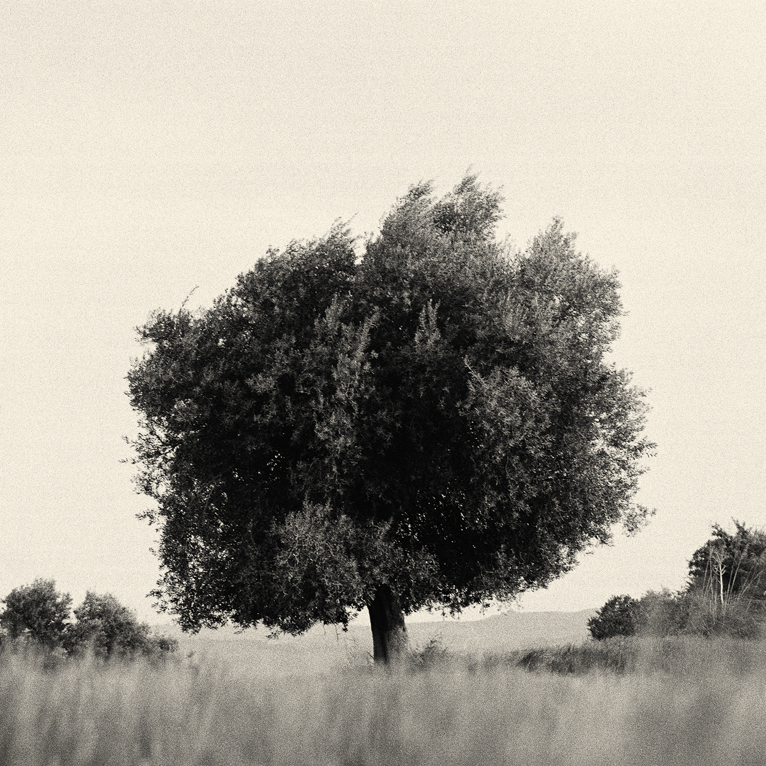 24 - La Valle del Salso - Monte Capodarso.jpg