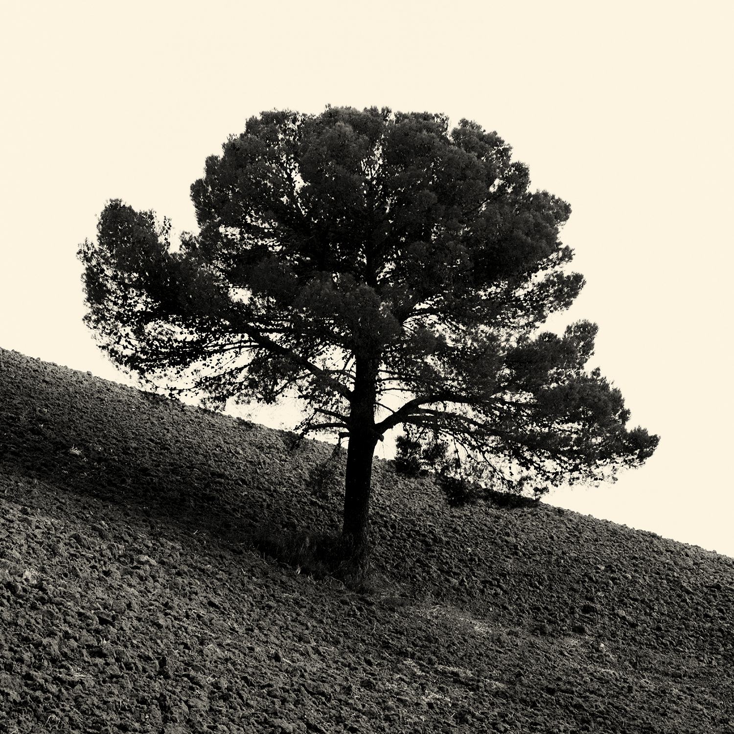 242- La Valle del Salso - Garlatti.jpg