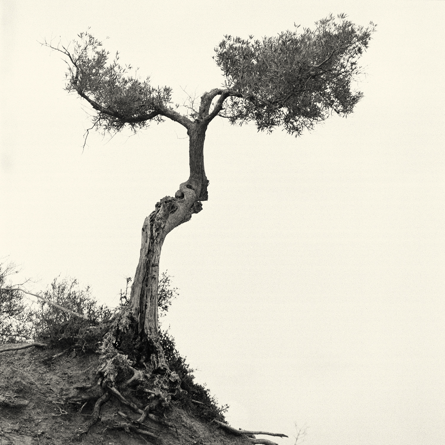27 - La Valle del Salso - Monte Capodarso.jpg