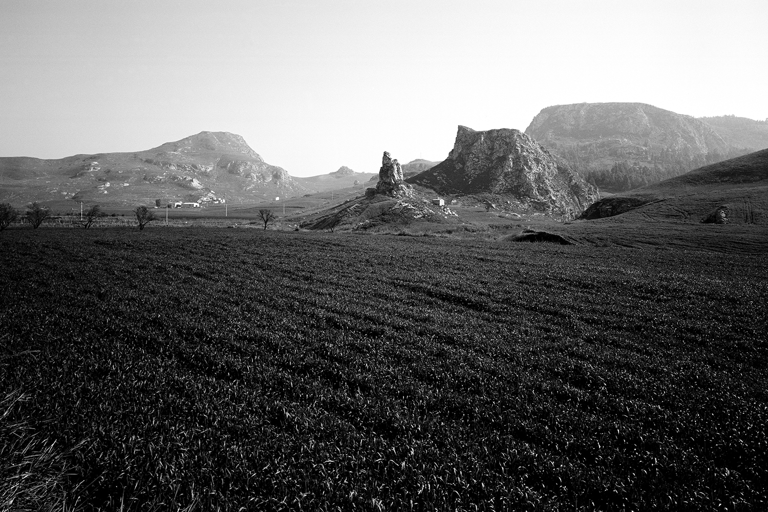 424-1  - Monte Raffe - Mussomeli -  F° 267 II N.O..jpg