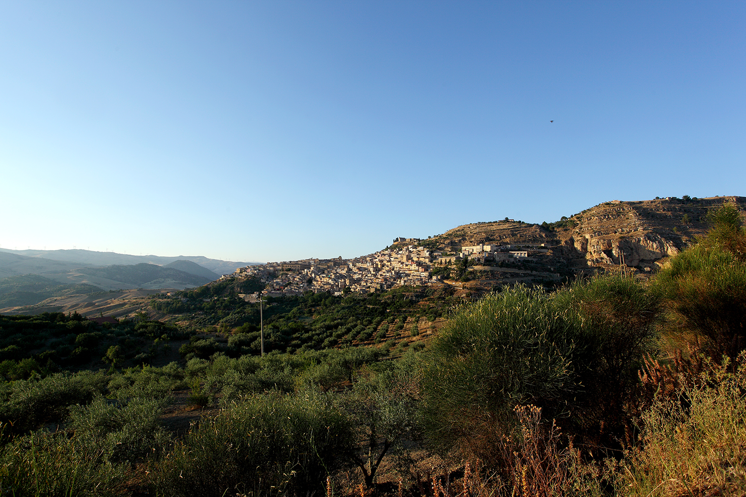 5 leonforte sicily_0220.jpg