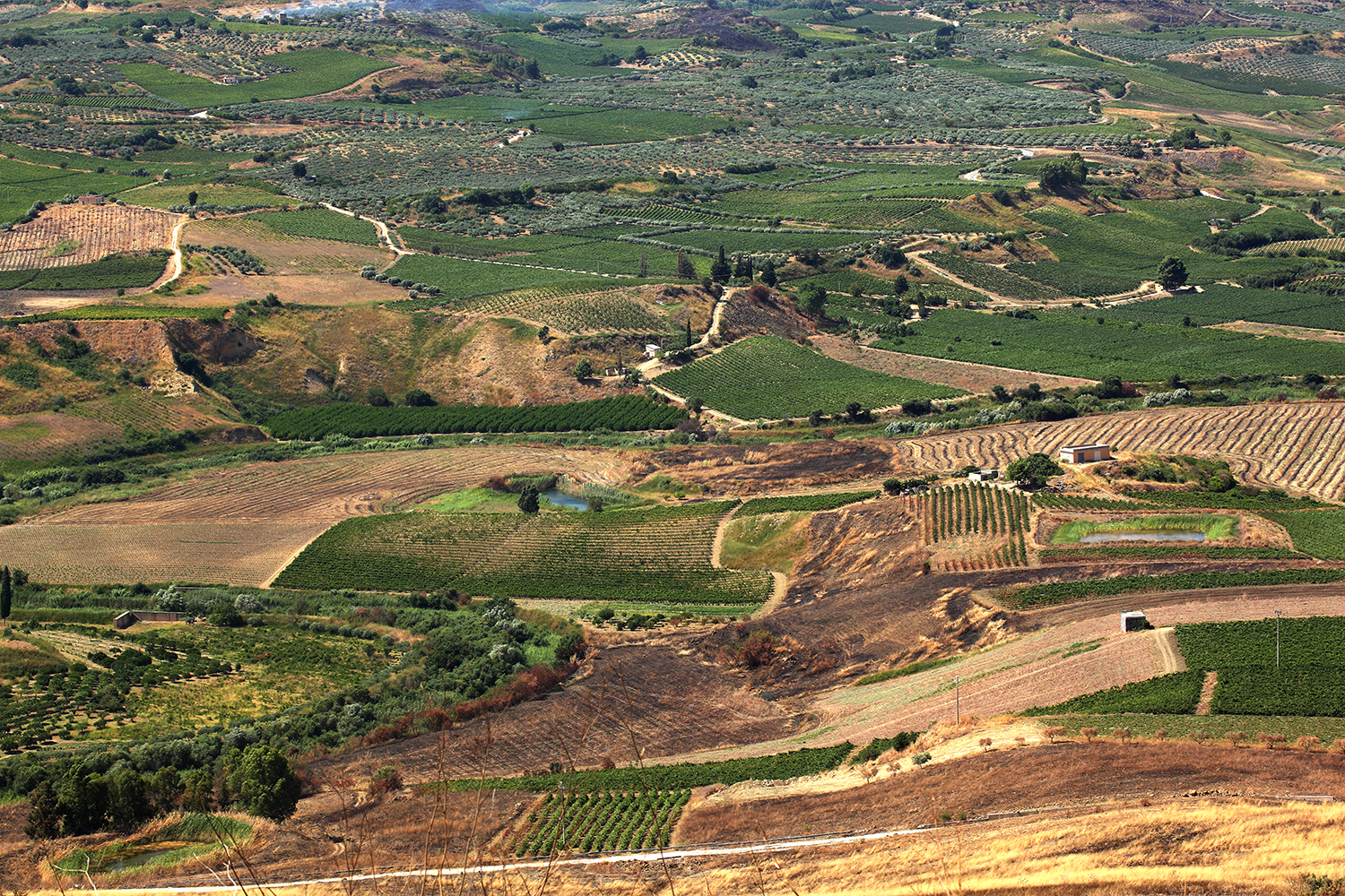 gbln_2014_005.jpg