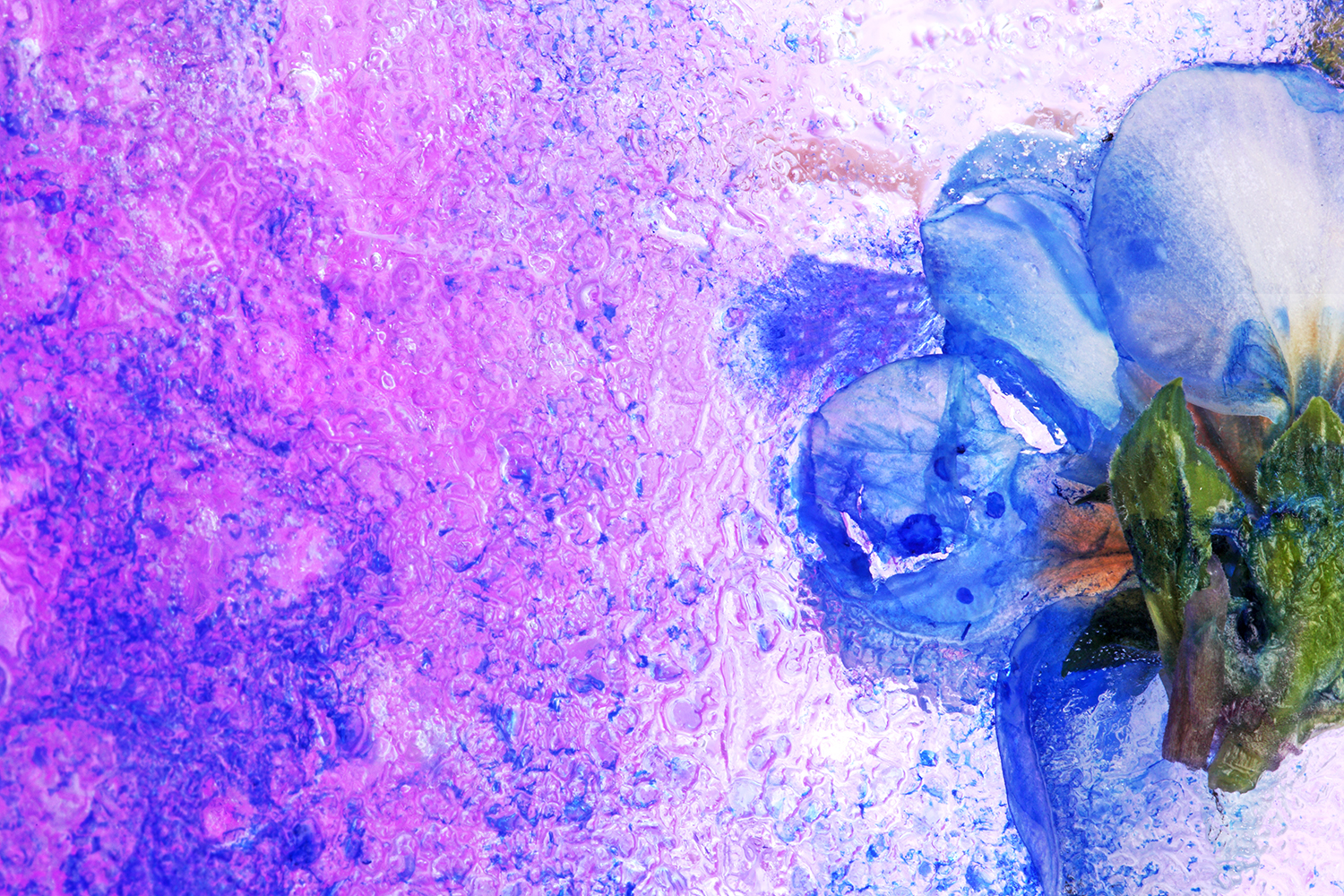 ice_ink022.jpg