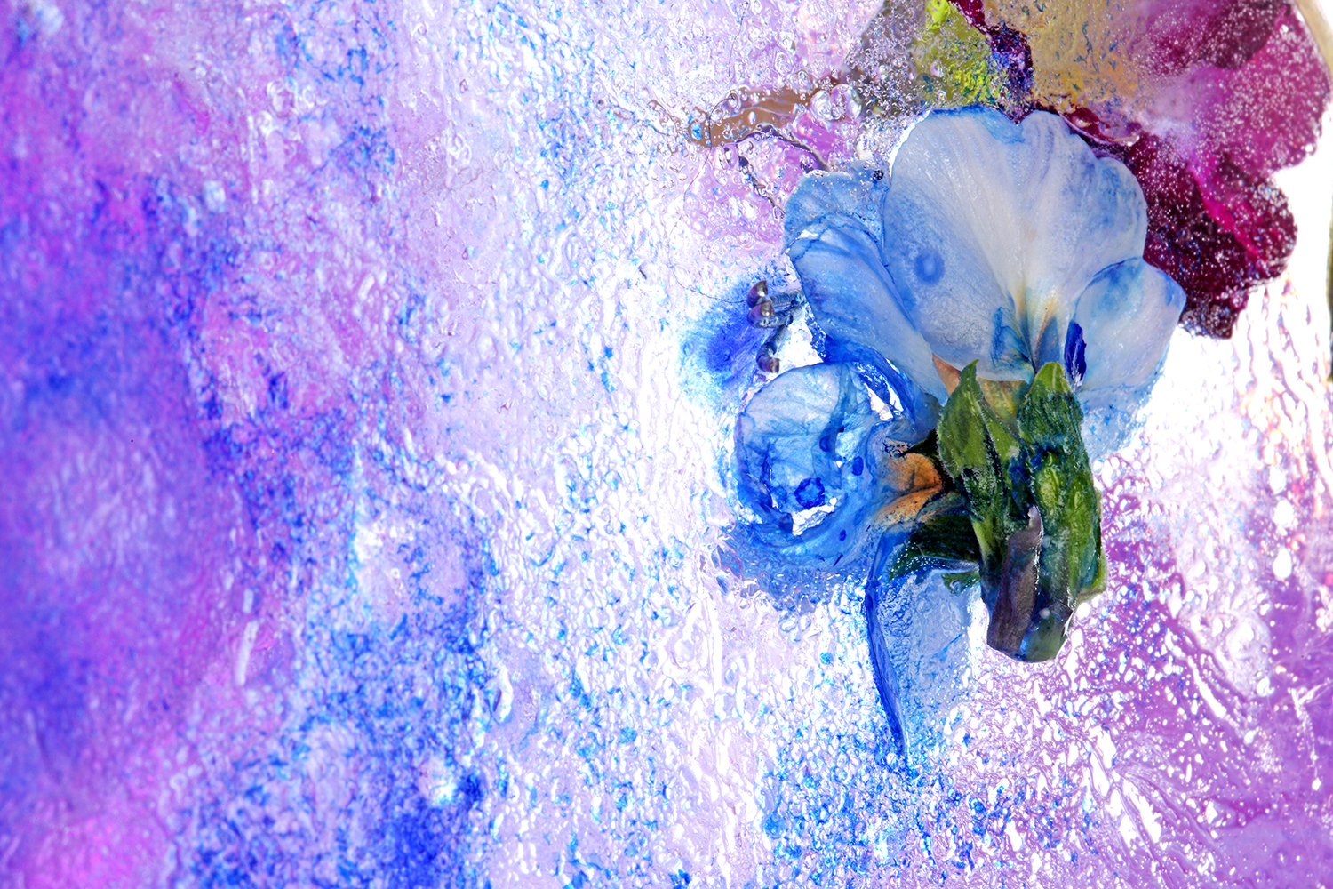 ice_ink026.jpg