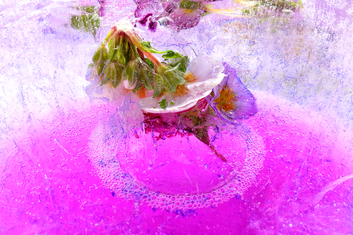 ice_ink129.jpg