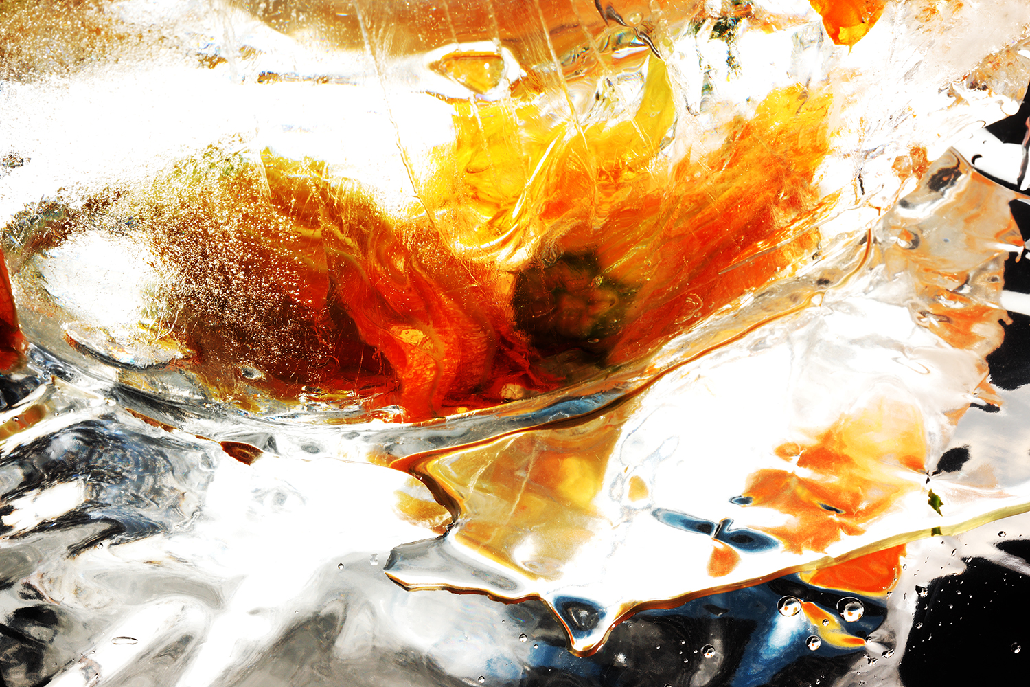 ice_zucca_087.jpg
