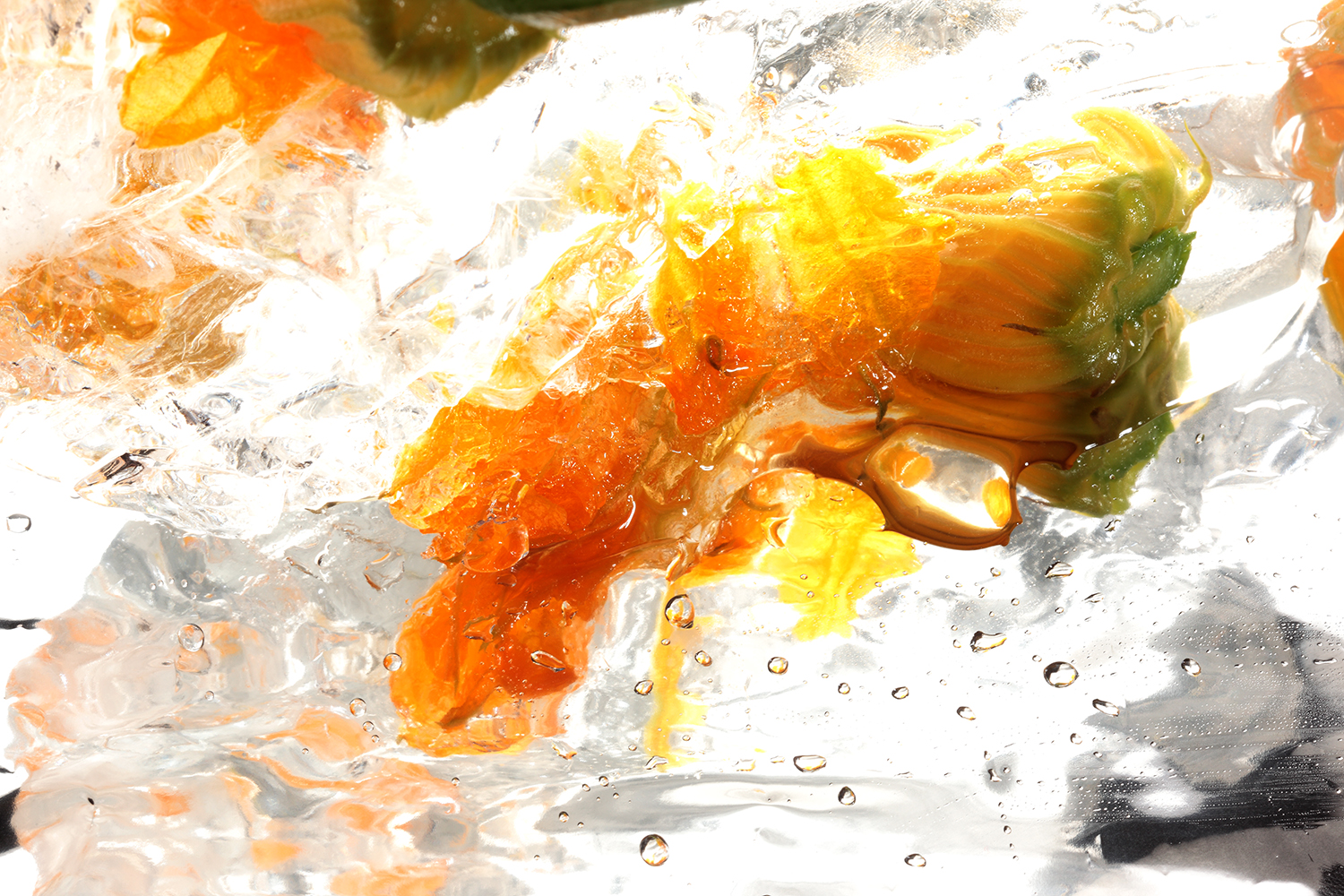 ice_zucca_090.jpg