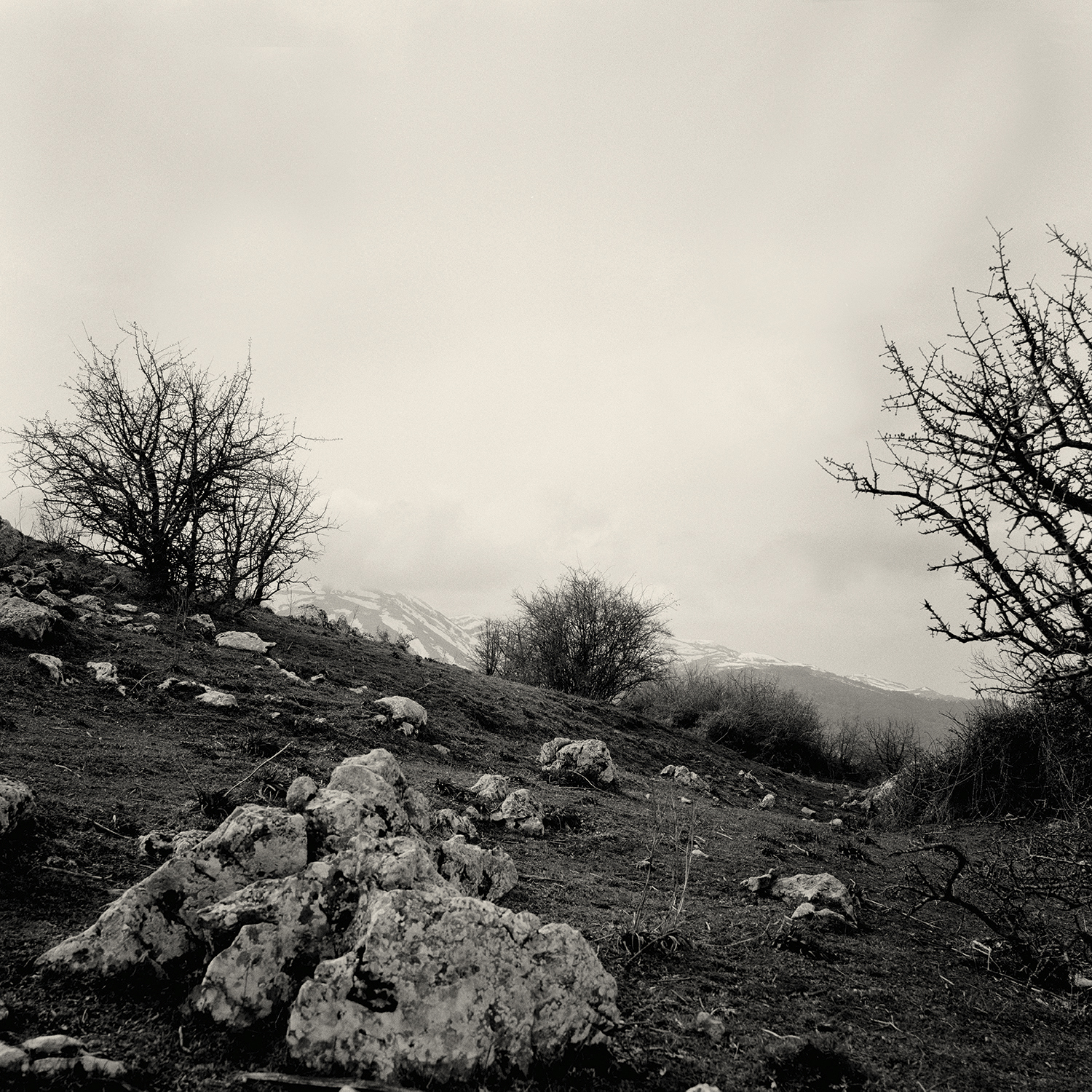 Madonie 8.jpg