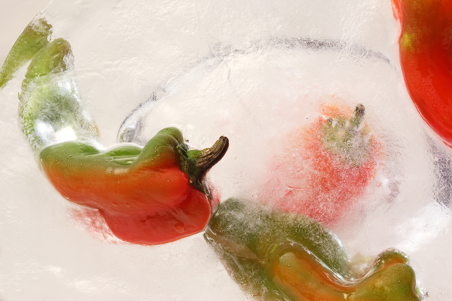 peperoni_ice-062.jpg