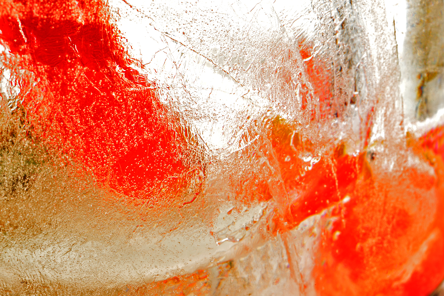 peperoni_ice-111.jpg