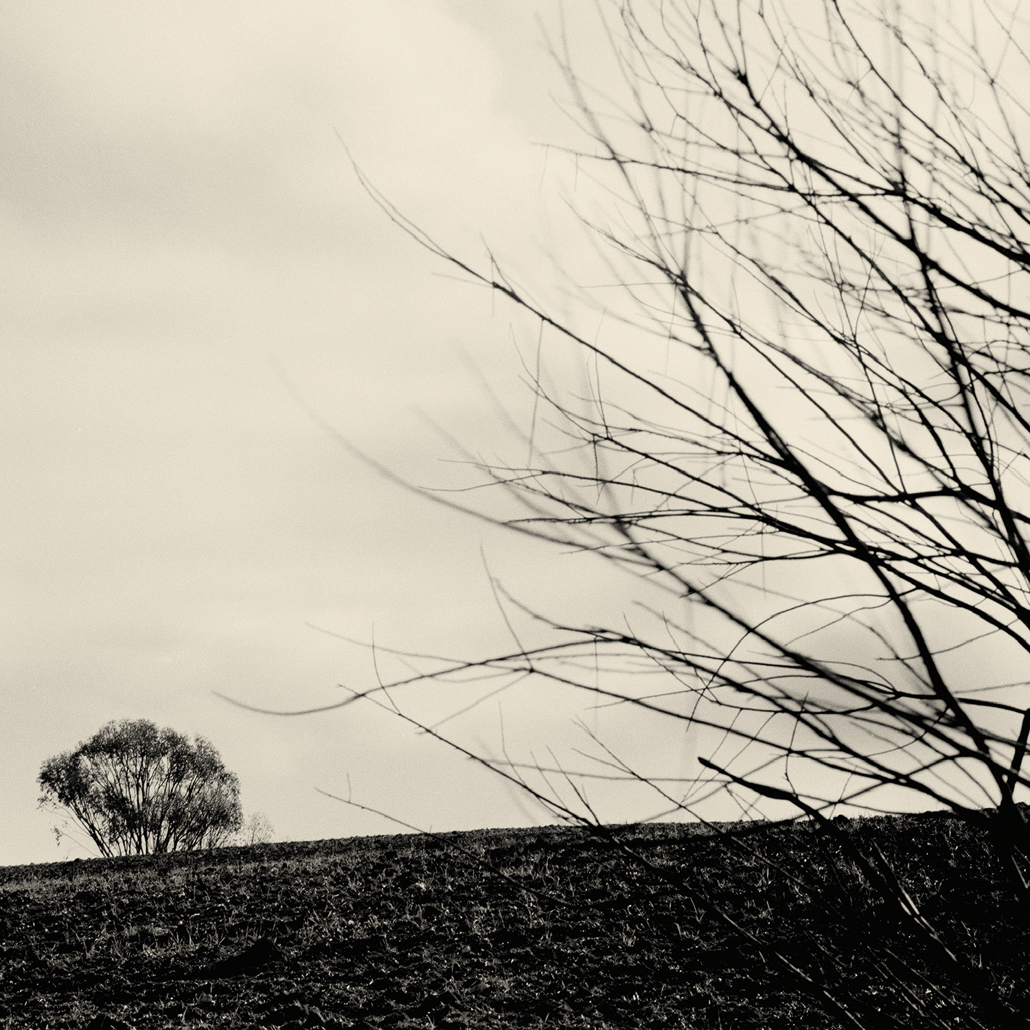 Piano dei Meloni fp4 - 3B.jpg