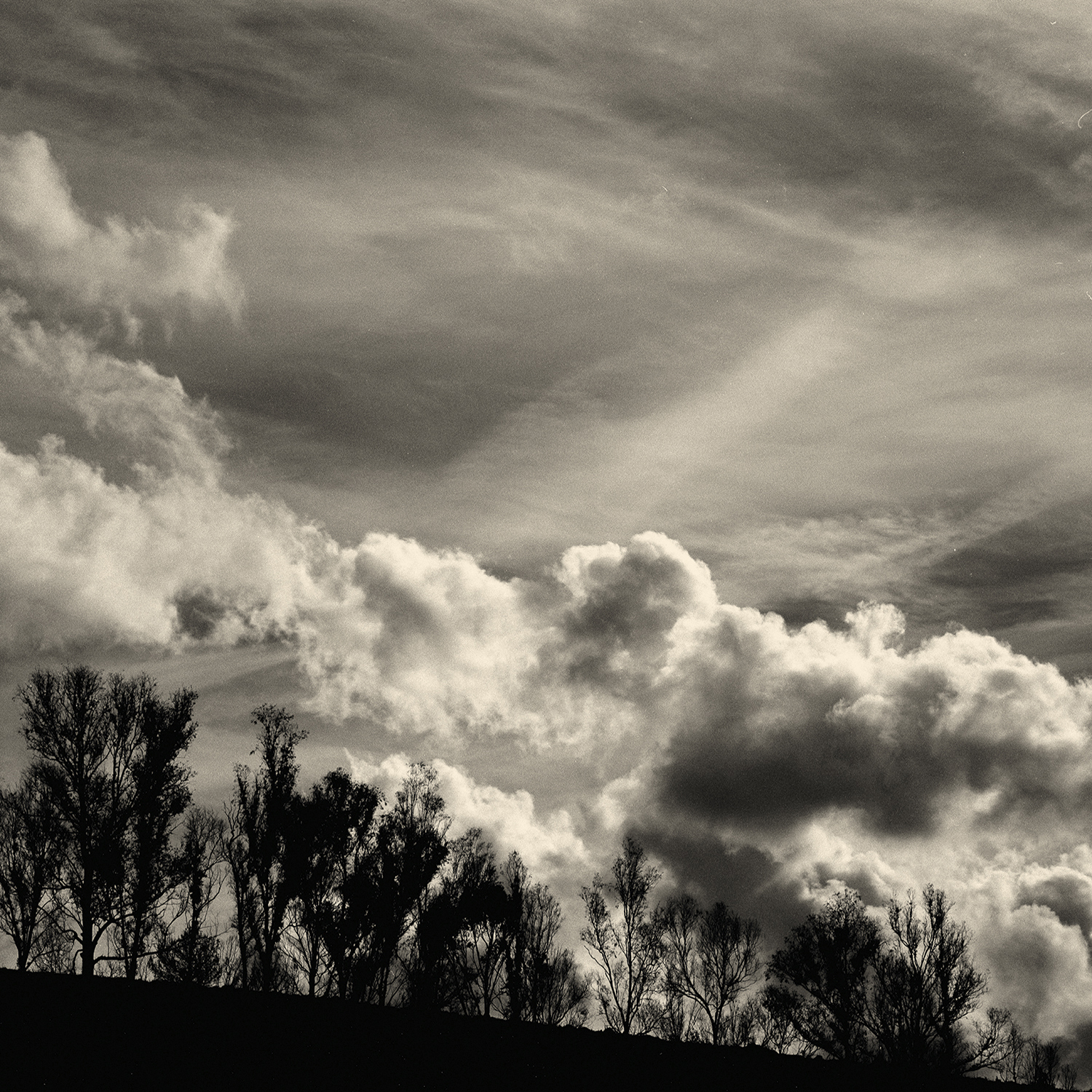 Piano dei Meloni fp4 - 9B.jpg