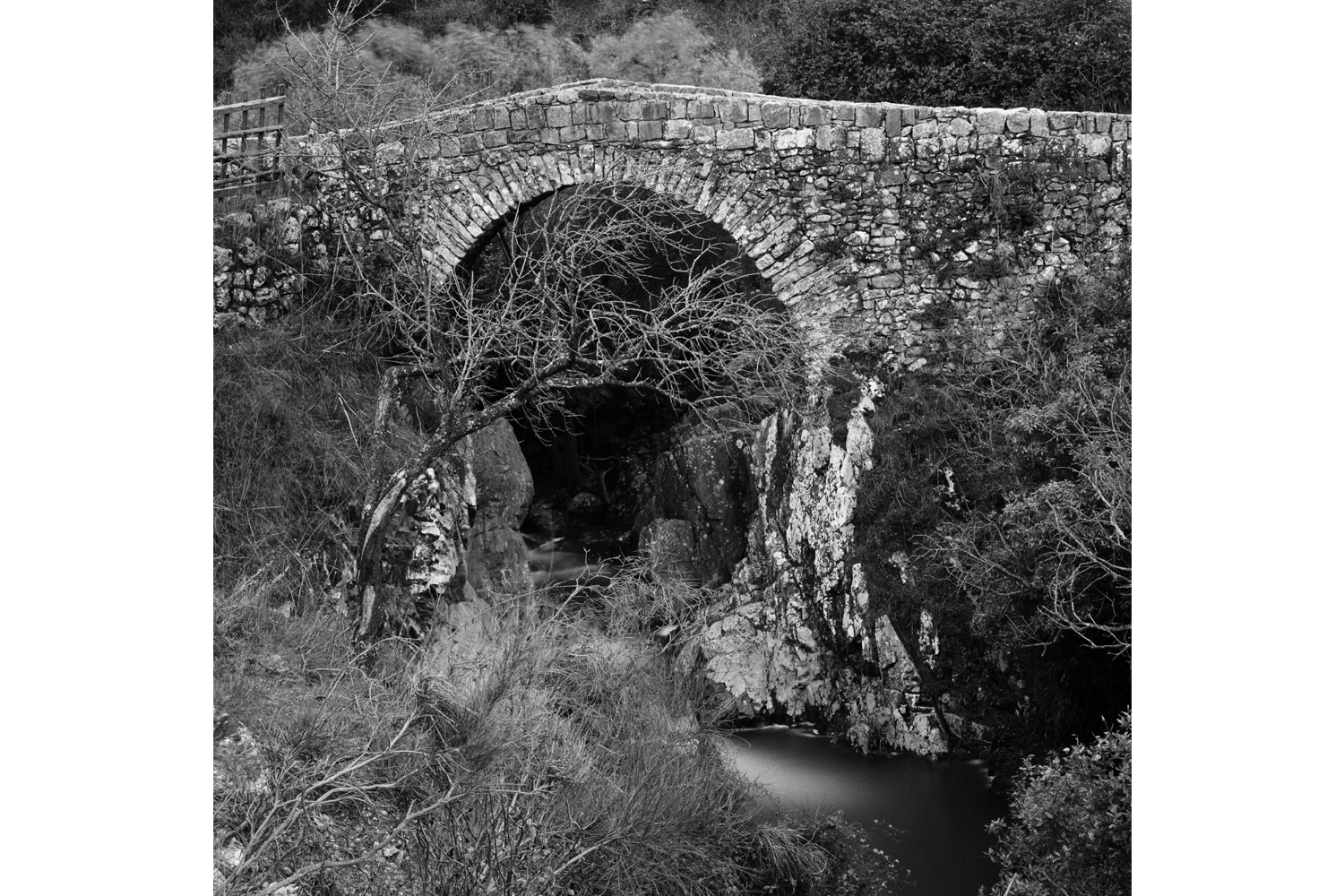 ponte 3.jpg