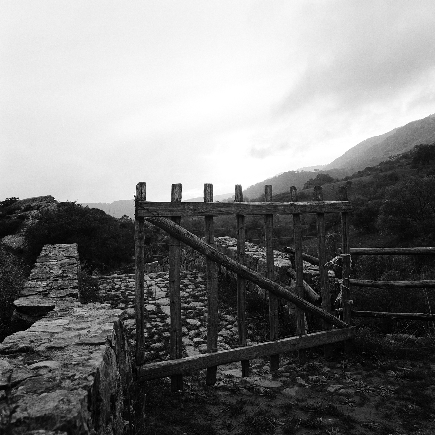 Ponte Romano - 24.jpg