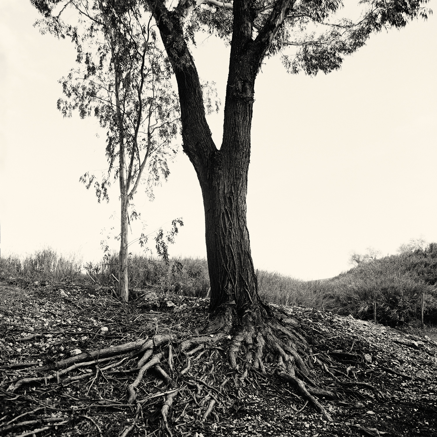 Valle salso 1.jpg